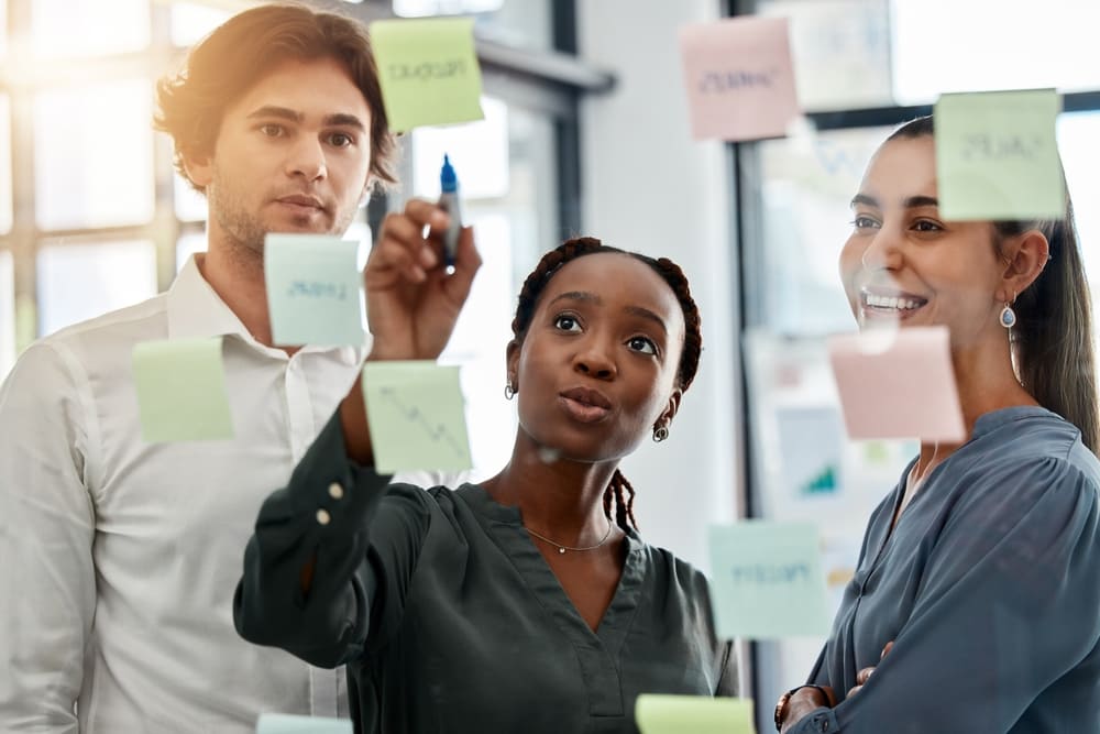 Workforce Strategy Vailexa